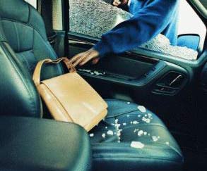 hand in wondow stealing purse