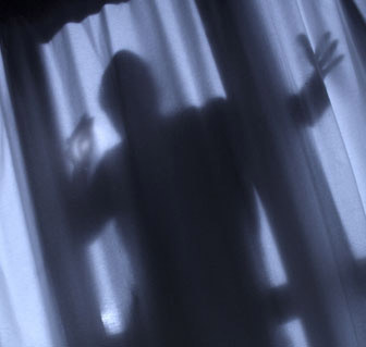 shadow burglar